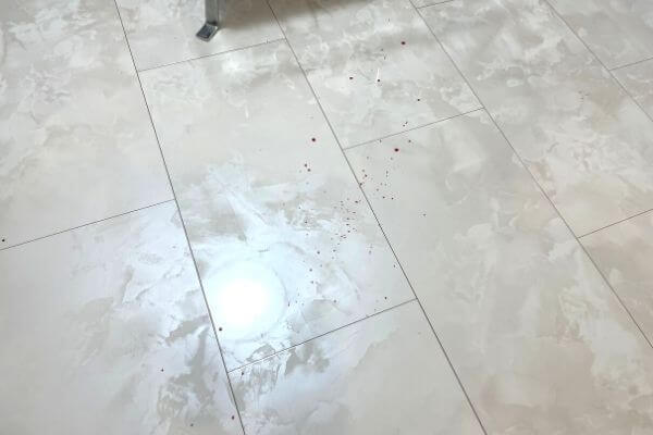 床に飛び散った猫の血