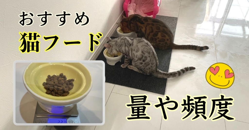 ベンガル猫の餌の量は何グラム？｜回数｜おすすめキャットフード