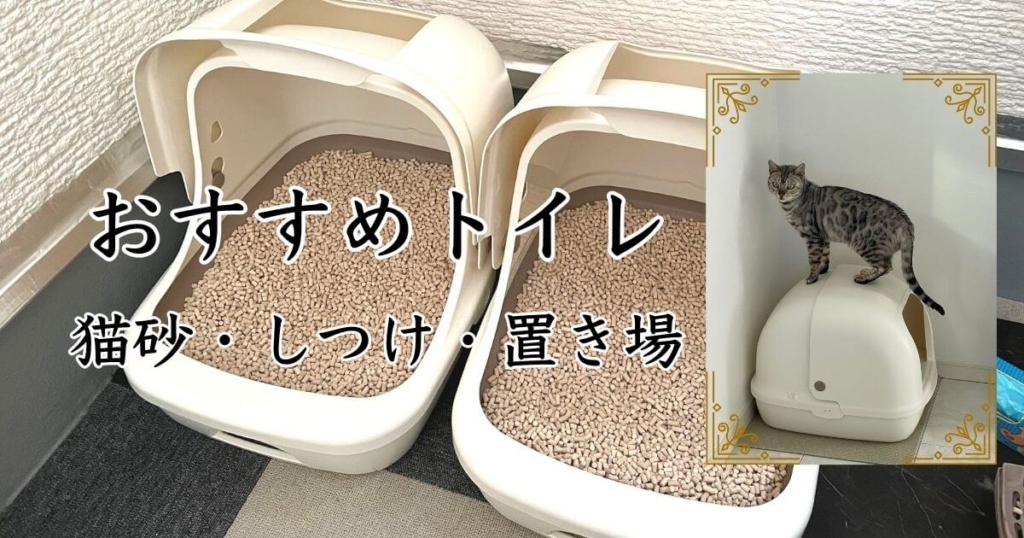 ベンガル猫におすすめのトイレ｜猫砂｜シート｜置き場｜しつけ