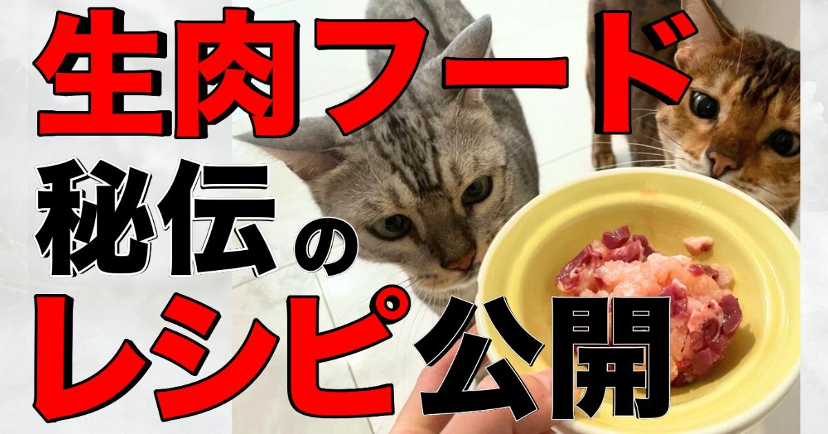 猫用自家製生肉フードのレシピや材料を紹介